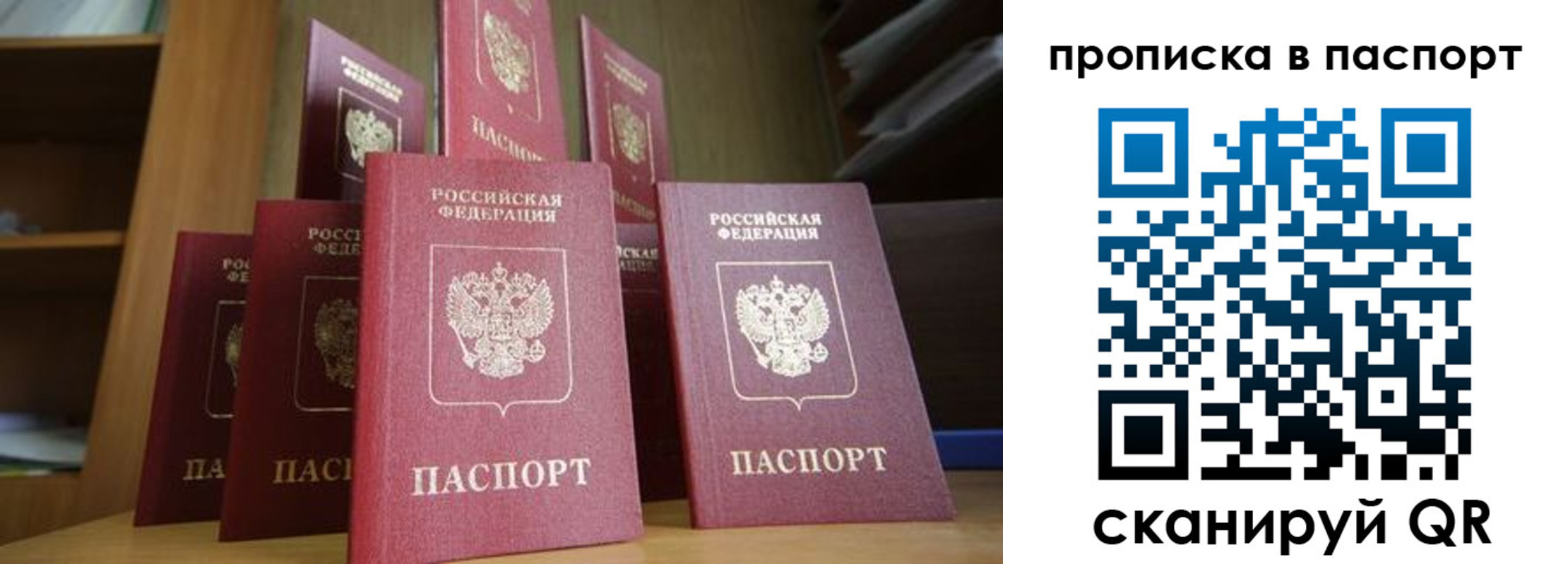 прописка законно в Тимашёвске