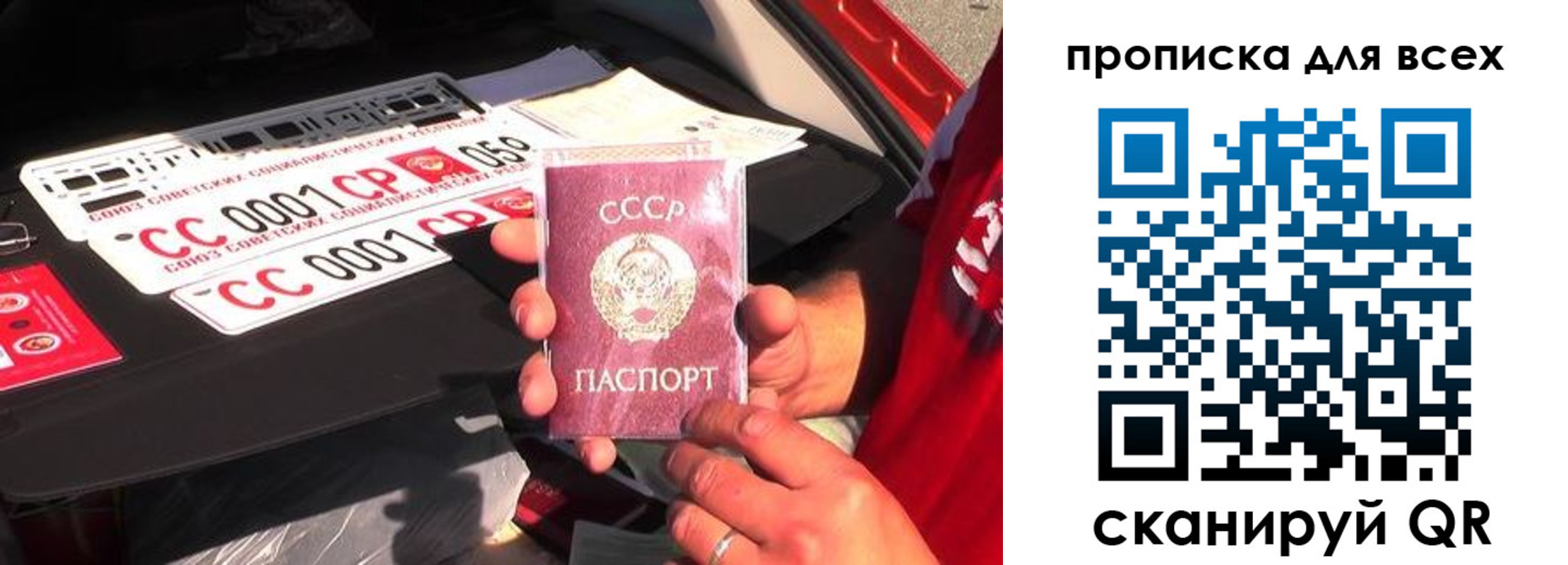 прописка для школы в Тимашёвске